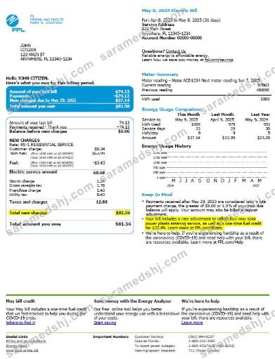 USA FPL utility bill template in Word and PDF formats, version 2